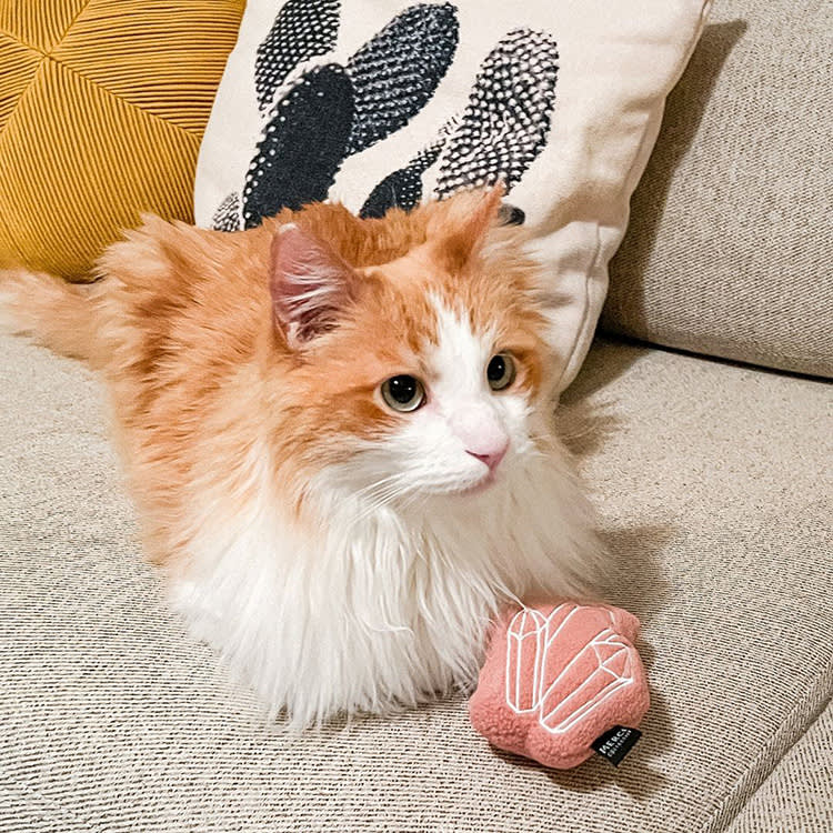 cat with the crystal toy in pink