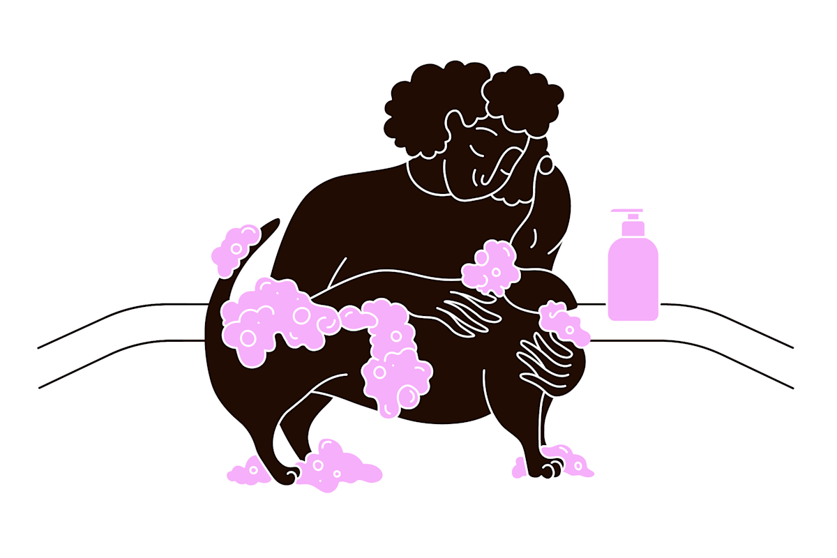 person bathing their pet with flea shampoo