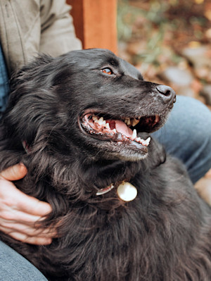 Man hugging his large fluffy black dog outside.
