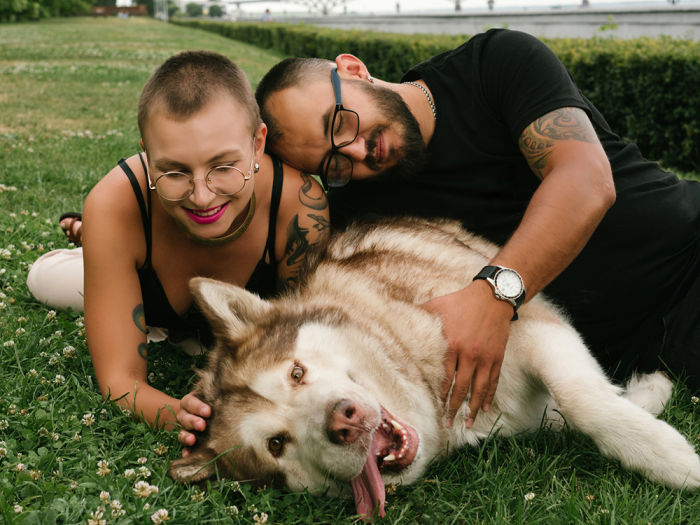 Couple lies on the grass with their Malamut dog in the park