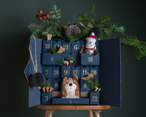 DIY style box pet advent calendar