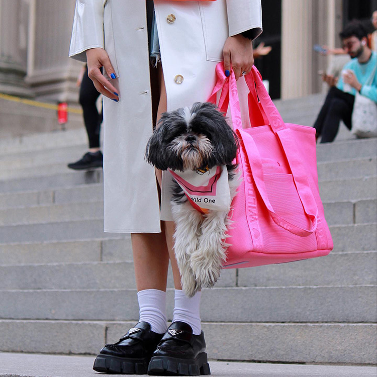 A woman wearing black Prada shoes and a tan coat holding a neon pink dog tote by Wild One x Isaac Mizrahi with a dog wearing a Wild One handkerchief hanging out of it