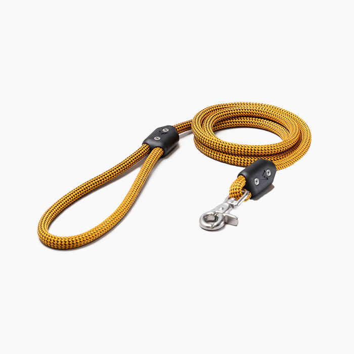 yellow rope leash