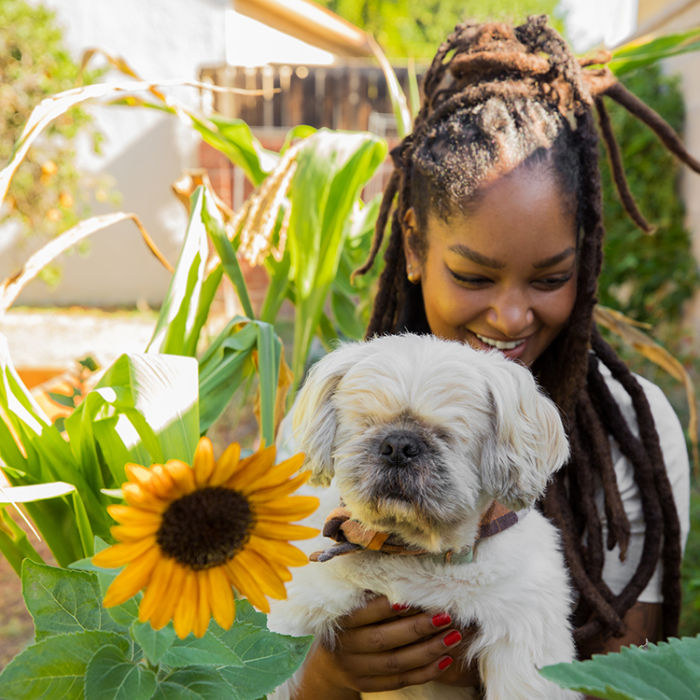 Indy, a woman with brown deadlocked hair, sitting next to a sunflower outside while holding a blind white dog named Okra