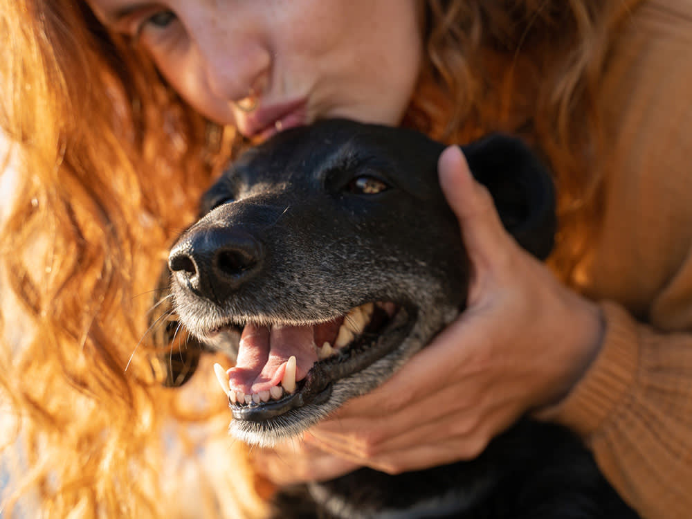 Close up of red headed woman holding a black dog's face showing his teeth
