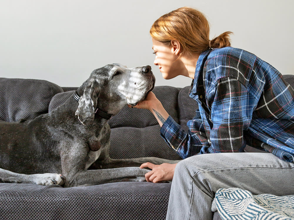 Woman looking lovingly at her dog at home.
