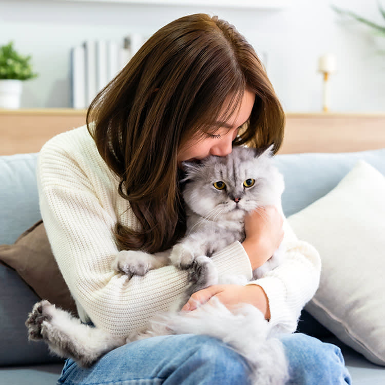 Woman trying to cuddle her cat at home.