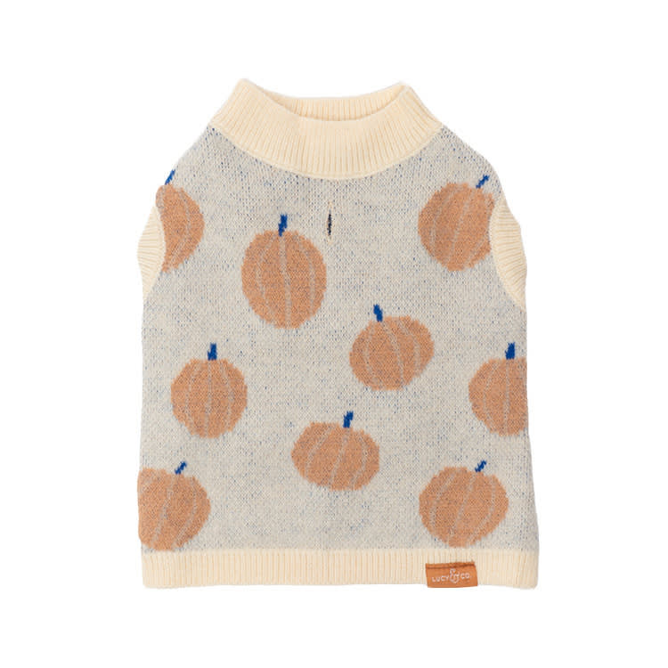 Lucy and Co pumpkin sweater