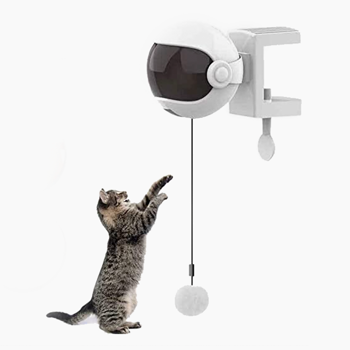 rotating ball cat toy 