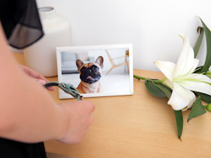 Woman mourning her dog at home.