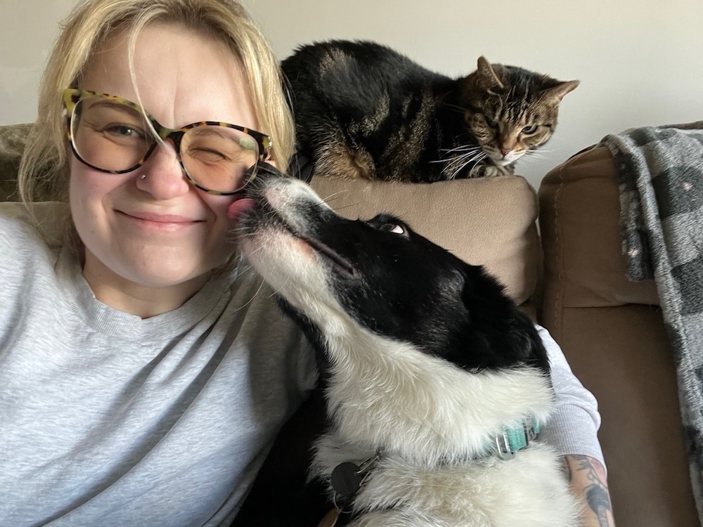 a blonde woman gets a kiss from a sheepdog while a cat looks on