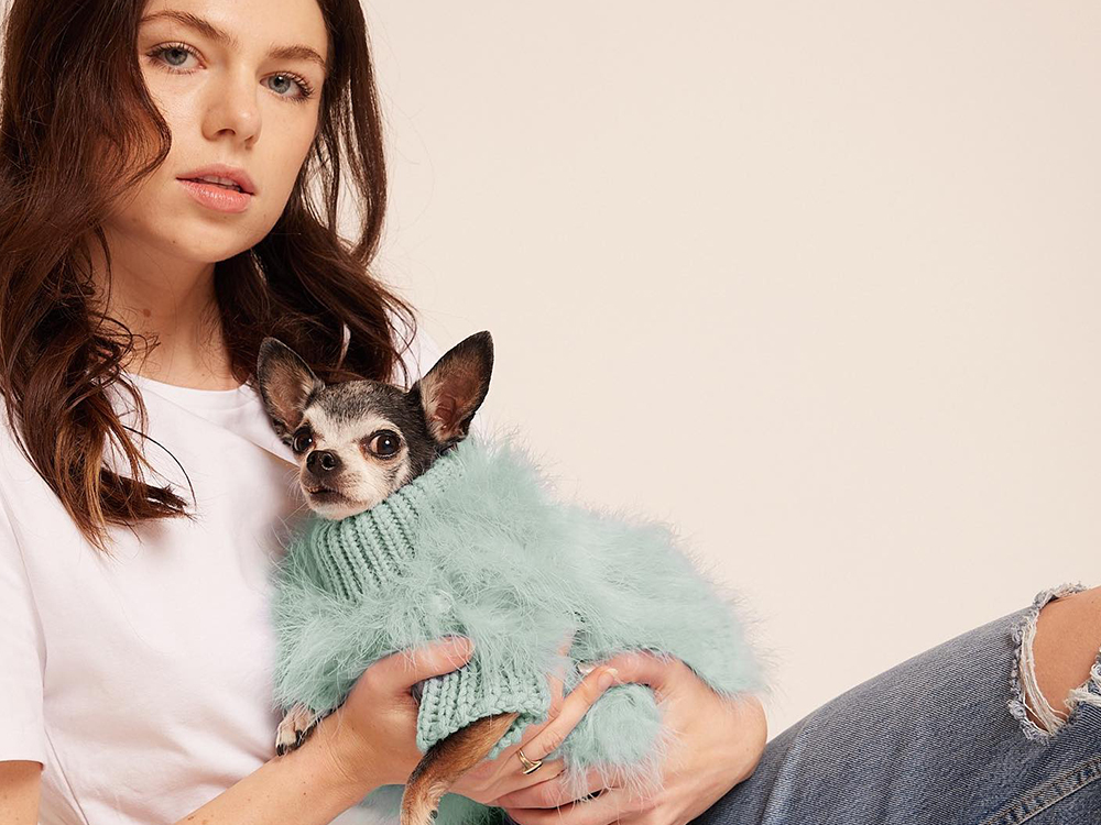 a small dog in a green turtleneck 