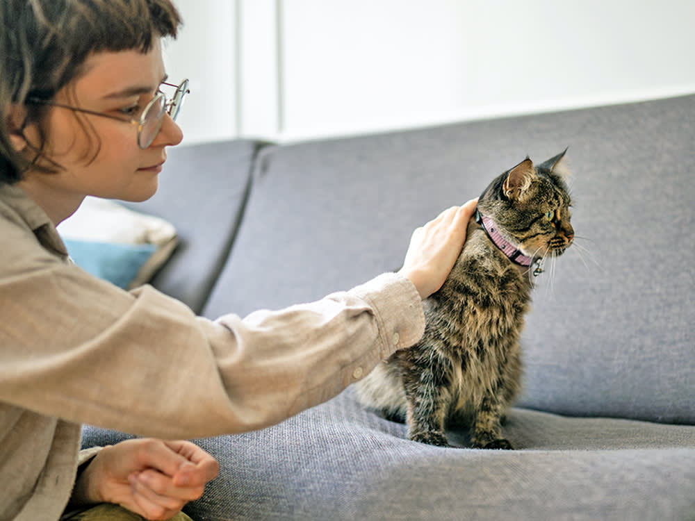 Woman petting her cat on the couch at home.