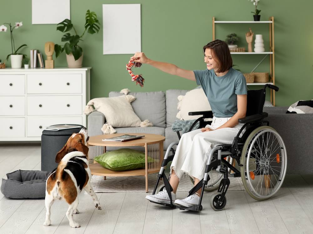 picture of a woman in a wheelchair holding a dog toy for a beagle
