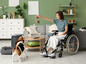 picture of a woman in a wheelchair holding a dog toy for a beagle