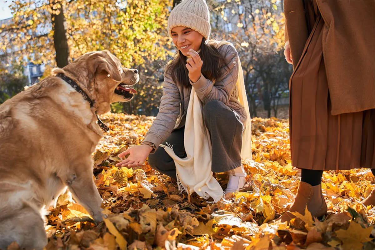 woman crouching down next to dog in the leaves