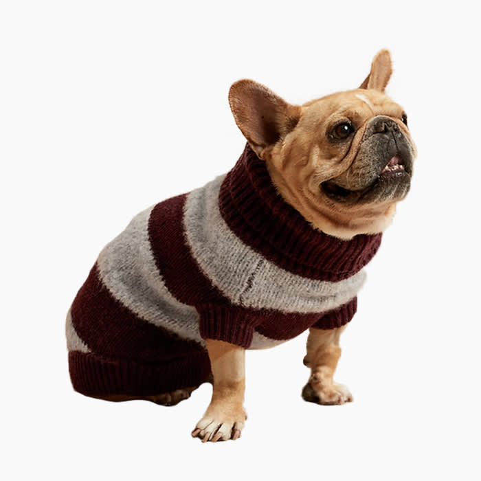 Rugby Stripe Dog Sweater