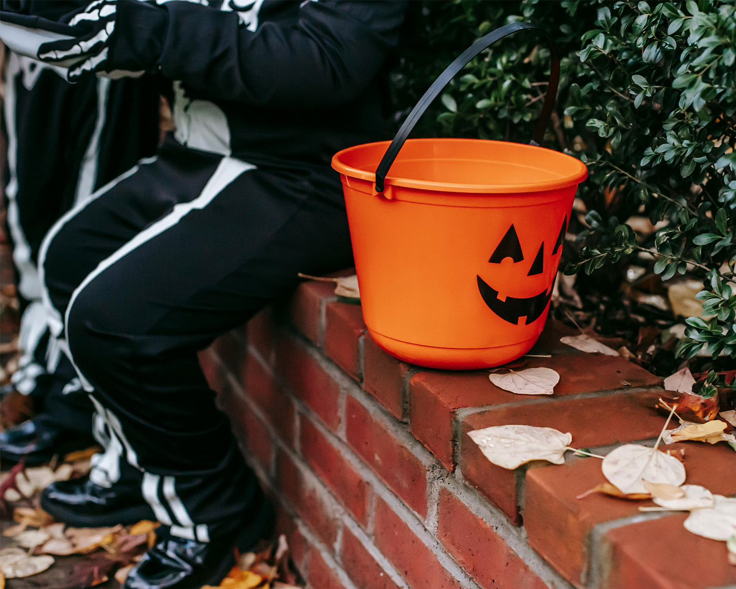 Halloween treat bucket 