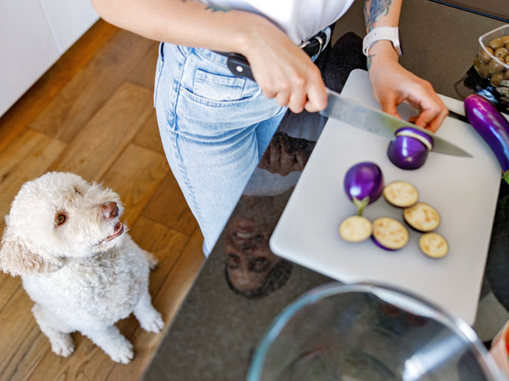 Woman cooking eggplant in the kitchen while dog walks.