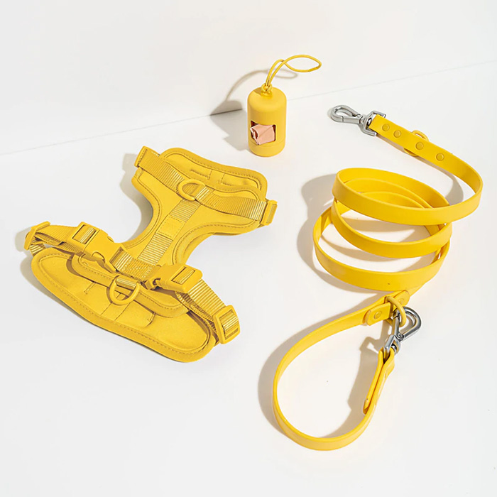 Wild One Harness Walk Kit