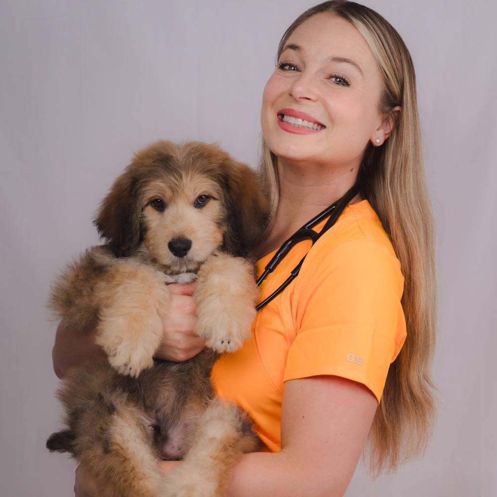 Dr. Lindsay Butzer, holds a puppy