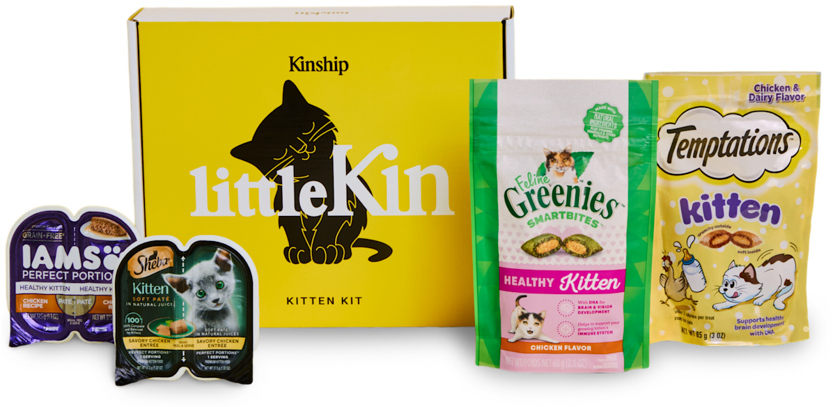 new kitten kit box image
