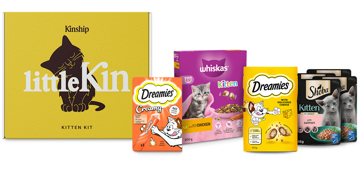 new kitten kit box image
