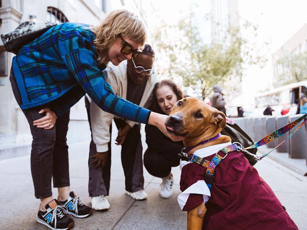 Group of young people pet a brown dog with a jacket on outside.