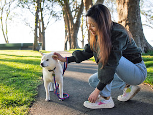Woman walking her small white dog outside on a leash.
