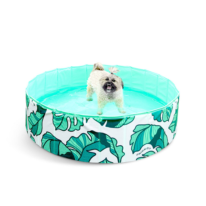 minnidip pup dip dog pool