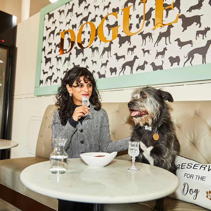 Dogue cafe, a dog at a table 