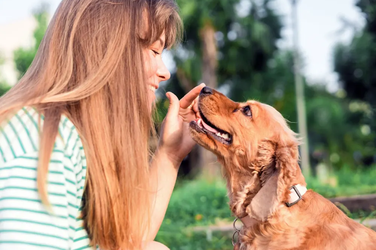 Dog sniffing person