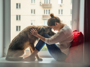 sad woman and dog touch heads in a window seat