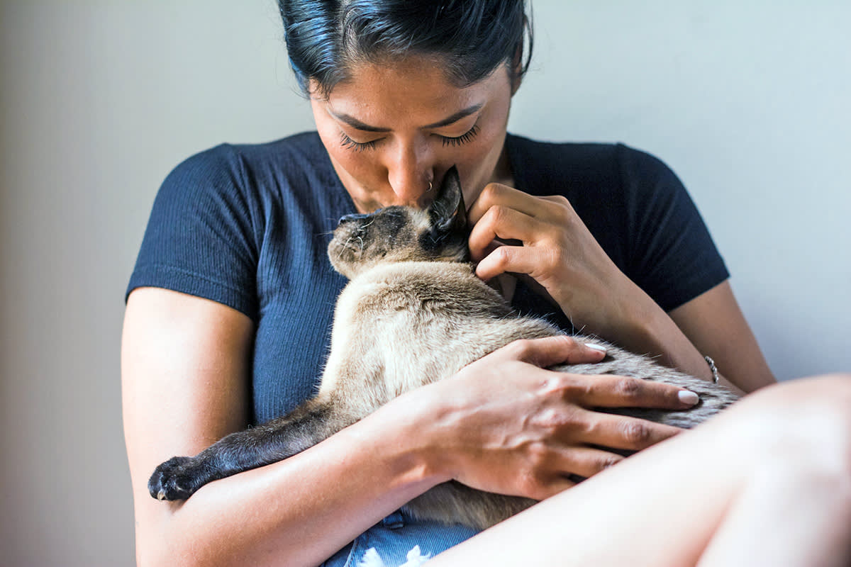 Person kissing a cat