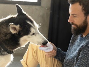 A bearded man in a gray sweater and yellow pants sitting on the floor and holding a Groov Training Aid in "lilac" from Diggs Pet, which is like a grooved plastic popsicle with treats smeared in, while his Husky dog licks it