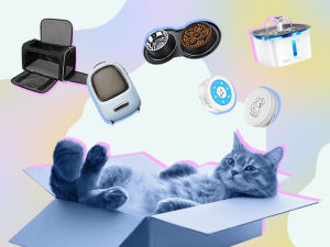 collage with amazon products