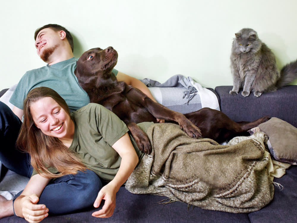 Couple staying home with pet dog labrador retriever and cute cat.