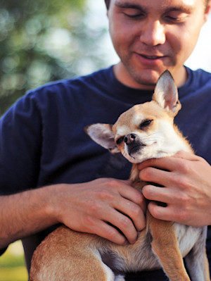 Man hugging his cute Chihuahua dog.