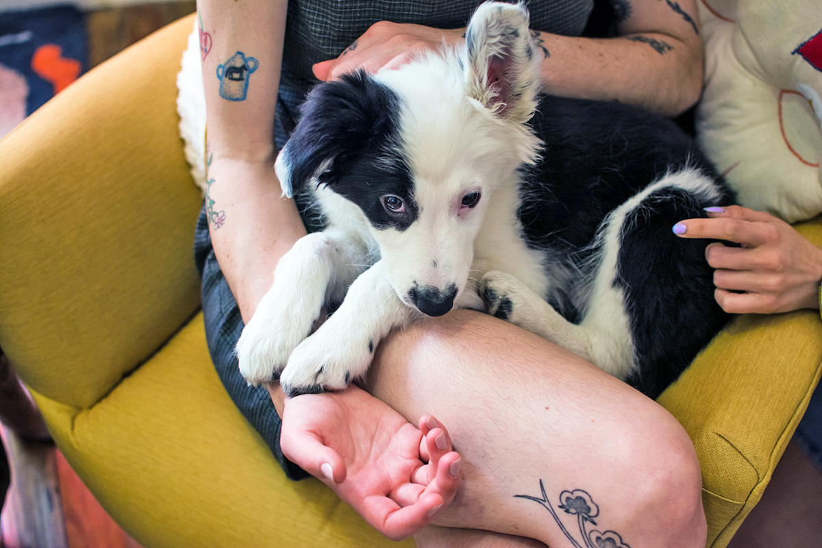 Person sitting on human's lap