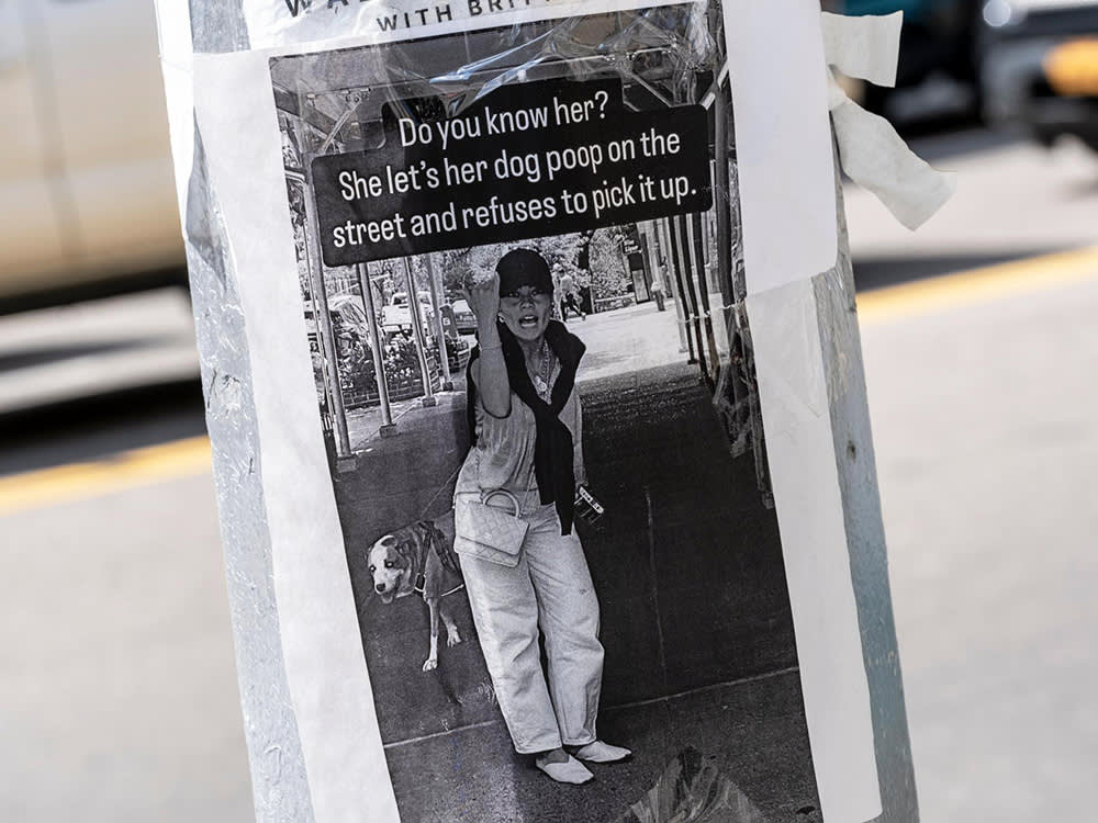 woman in NYC who won't pick up dog poop