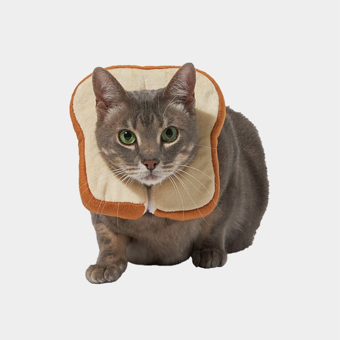 cat wearing bread costume