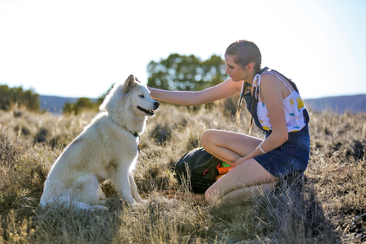 a dog outside with a person