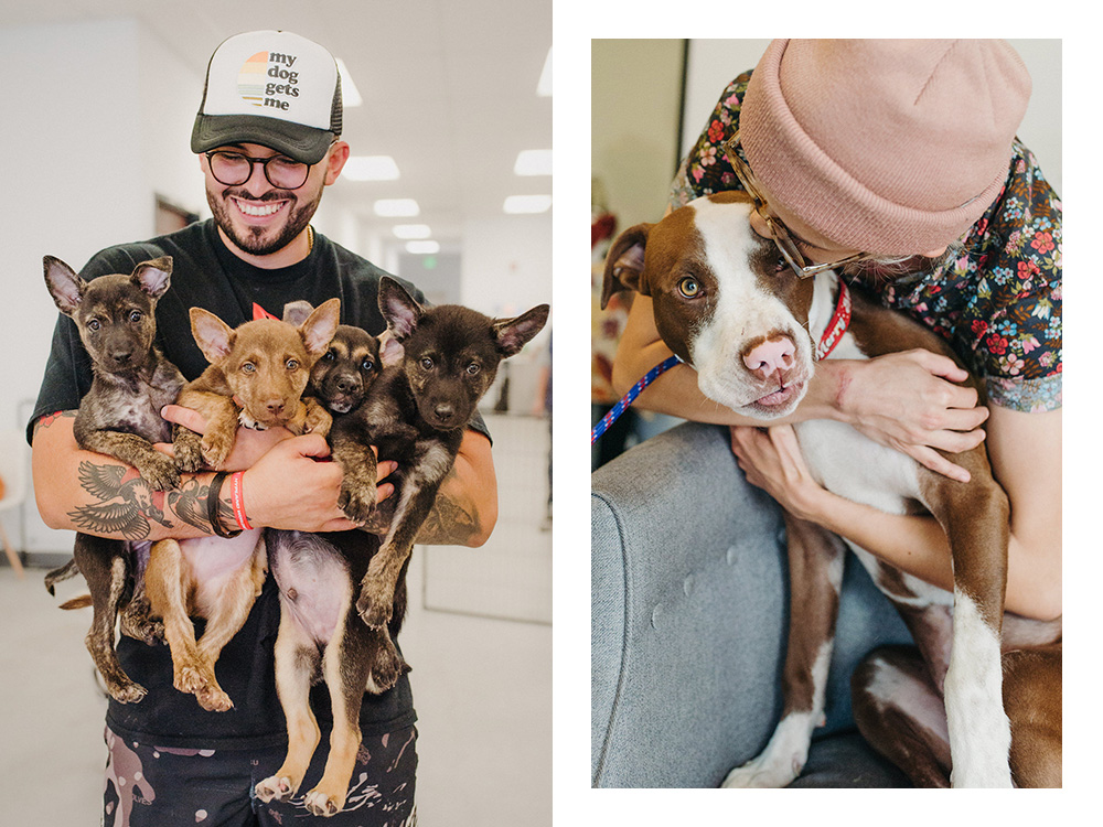 a person holds four small puppies; a person hugs a large dog