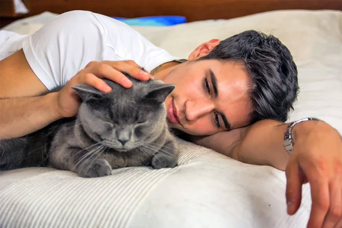 Person lying down with a cat