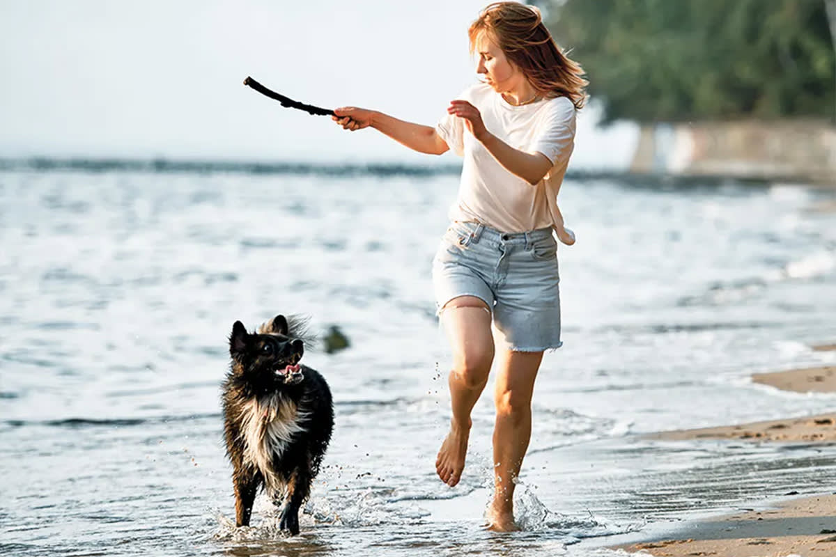 dog running with their pet parent on the beach