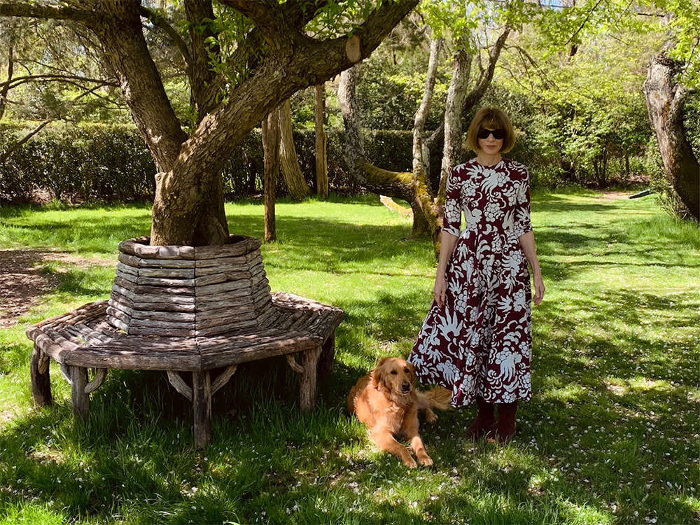 Vogue's Anna Wintour Is a Secret Softie (At Least When It Comes to Her  Dogs) · The Wildest