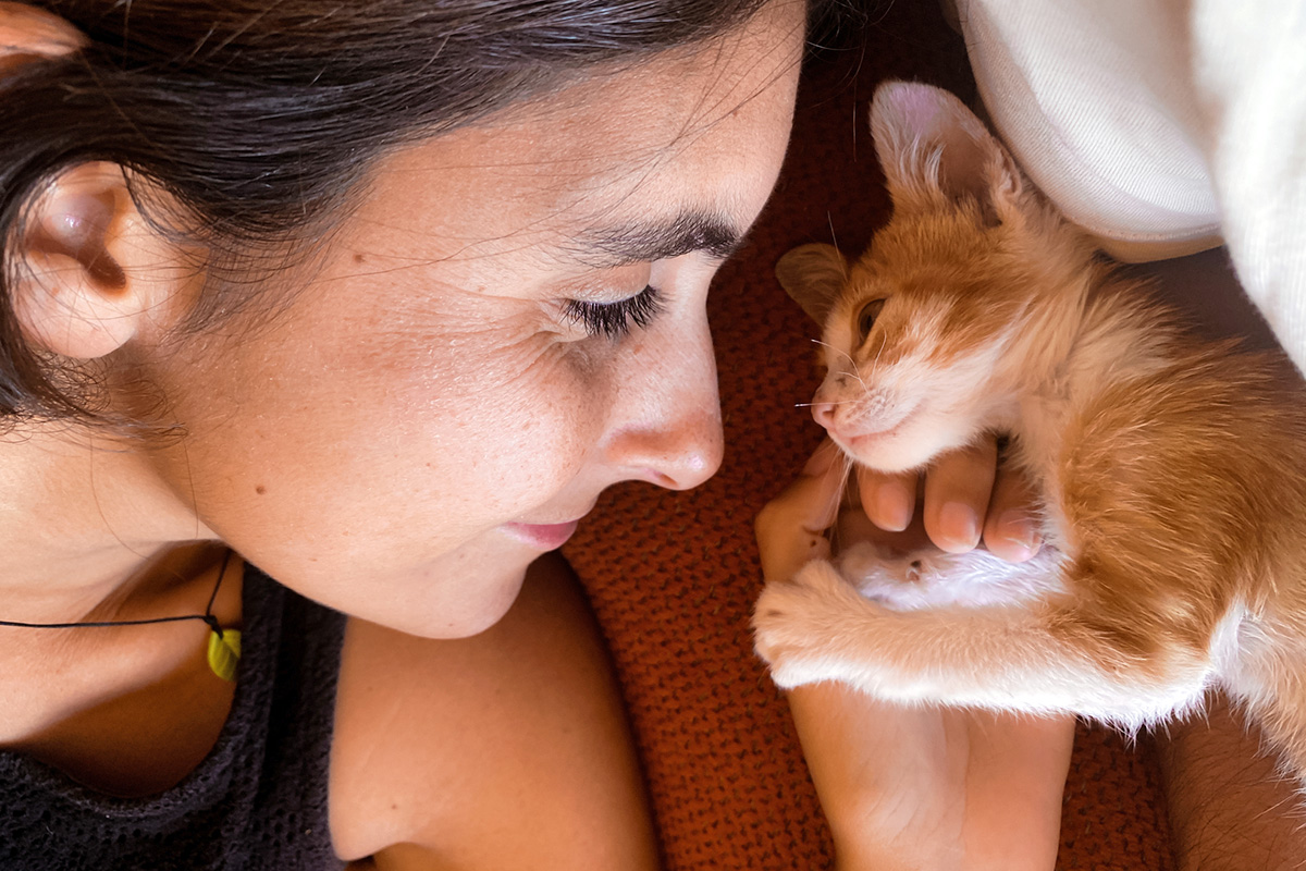 person looking at kitten
