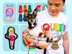 Pride collage, a person in a shirt reading QUEER holds a small dog