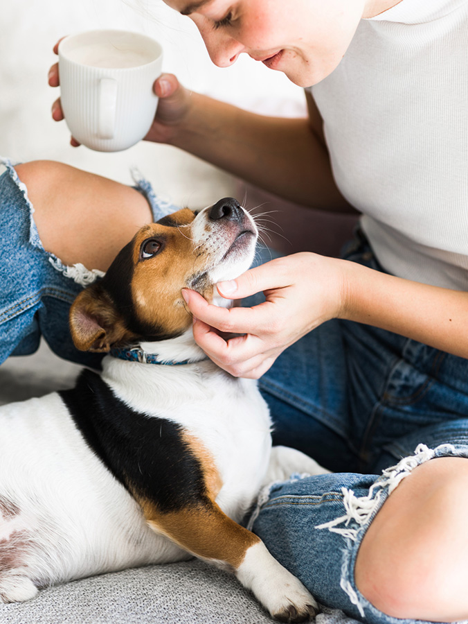 Woman petting her small dog at home.