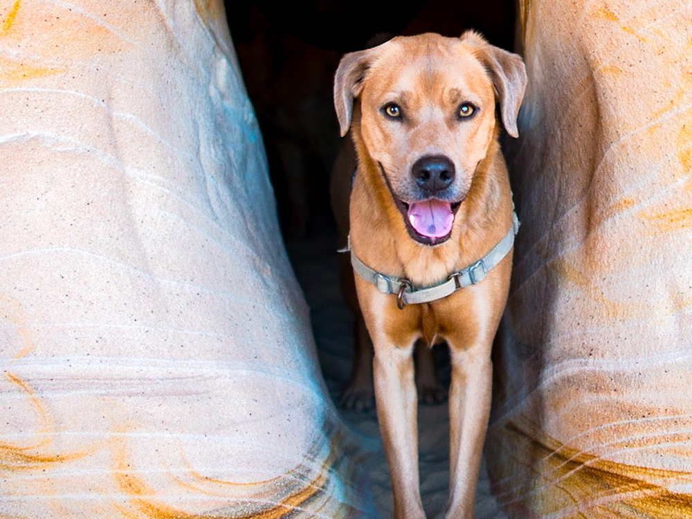 keeping finn on mountain